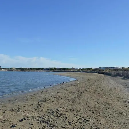 Modern In Camargue