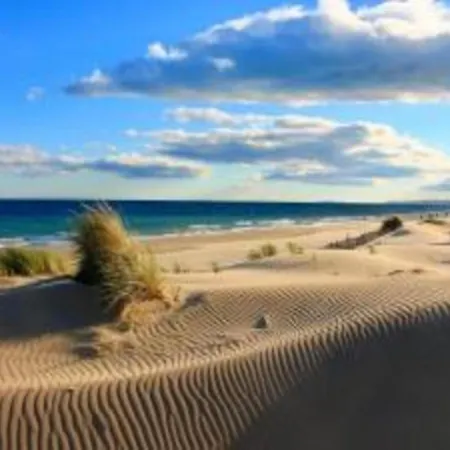 Apartament Modern In Camargue